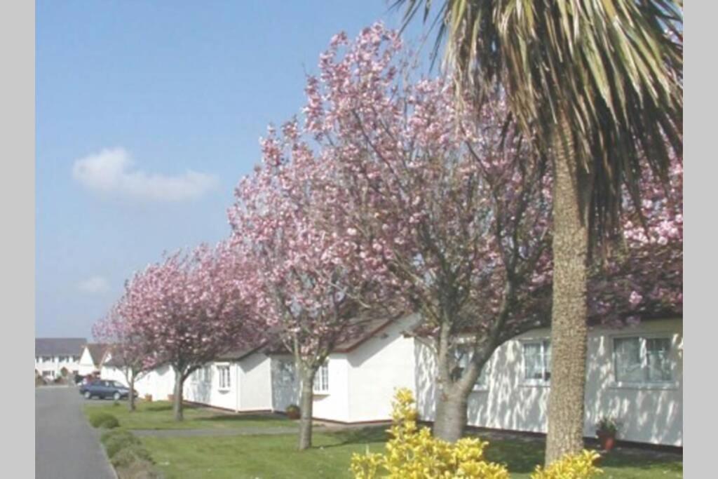 Perfect For The Family And Beaches - Gower Cwtch Villa Swansea Buitenkant foto